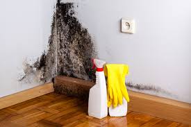 Best Mold Prevention Services in Richlands, VA